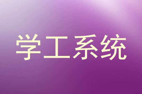 学工系统