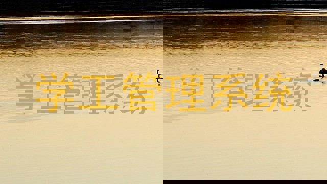 学工管理系统