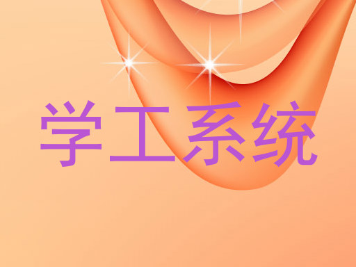 学工系统