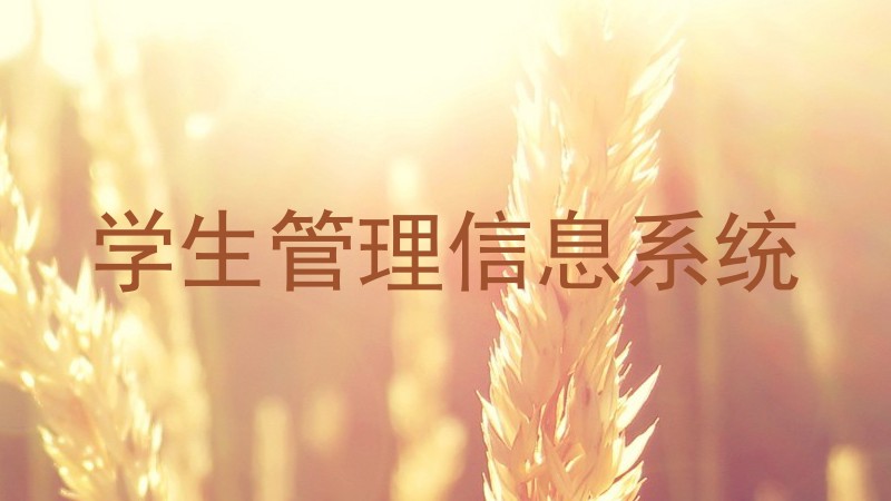 学生管理信息系统