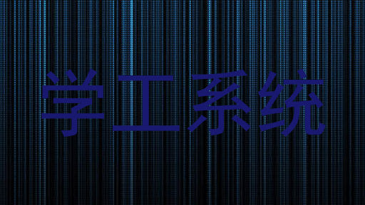学工系统