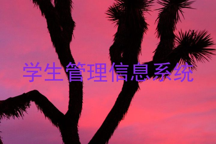 学生管理信息系统