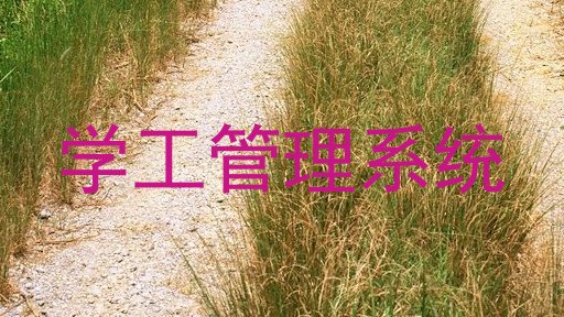 学工管理系统