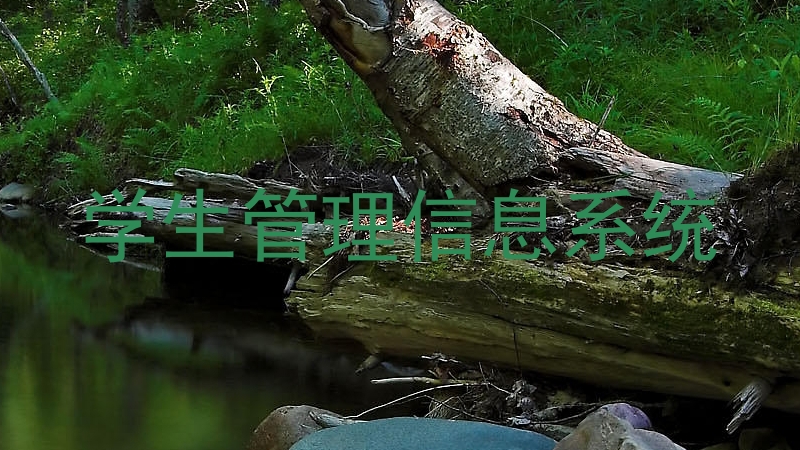 学生管理信息系统