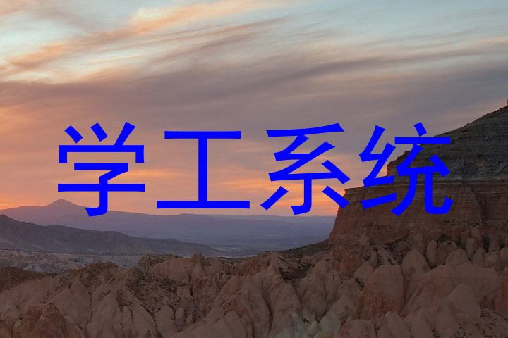 学工系统