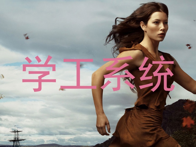 学工系统