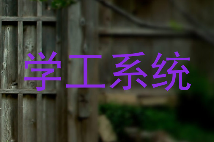 学工系统