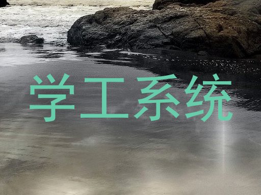 学工系统