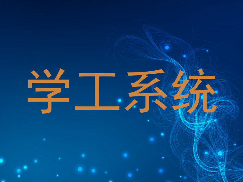 学工系统