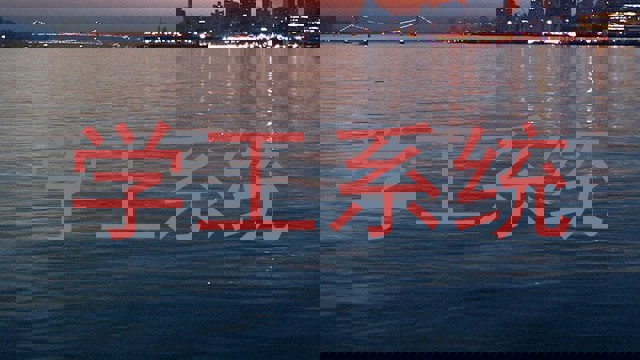 学工系统