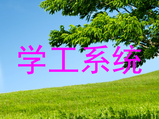 学工系统