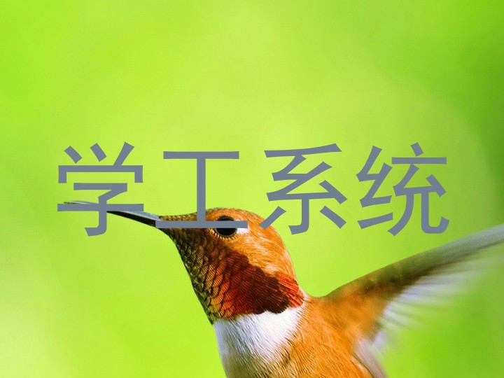 学工系统