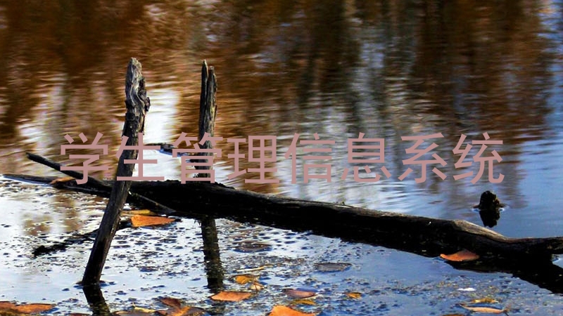 学生管理信息系统