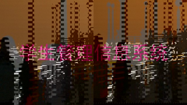 学生管理信息系统
