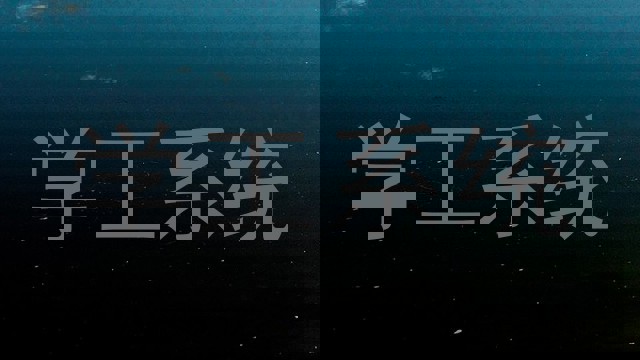 学工系统