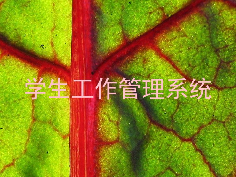 学生工作管理系统