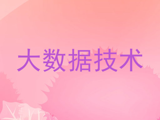 大数据技术