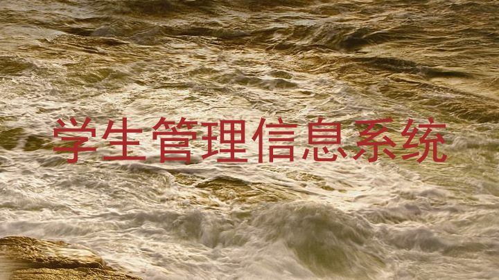 学生管理信息系统