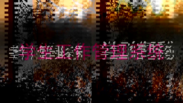 学生工作管理系统