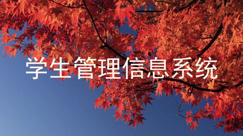 学生管理信息系统