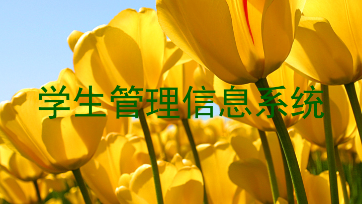 学生管理信息系统