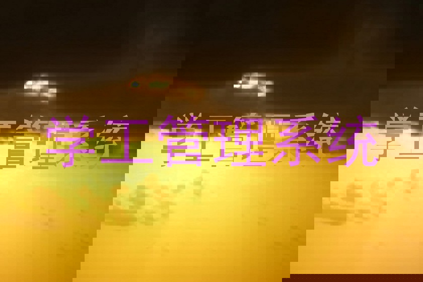 学工管理系统
