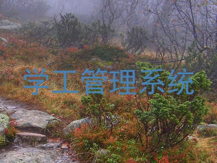 学工管理系统