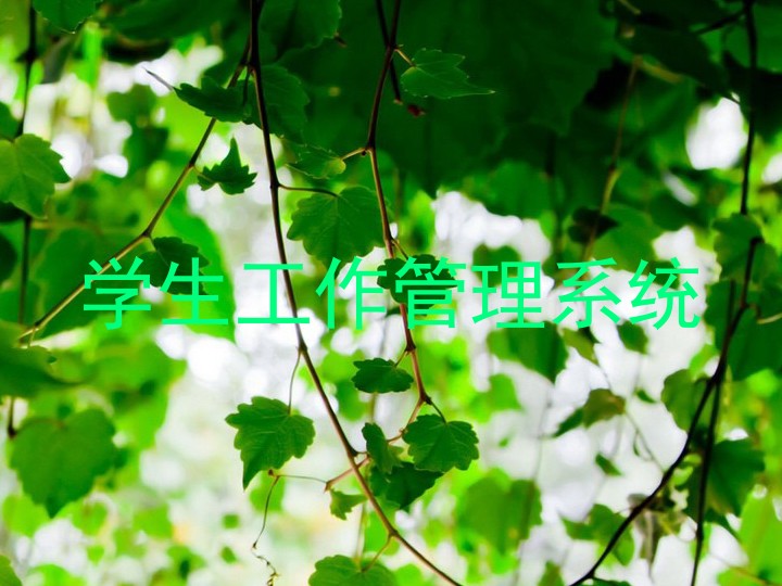学生工作管理系统