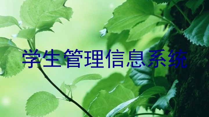 学生管理信息系统