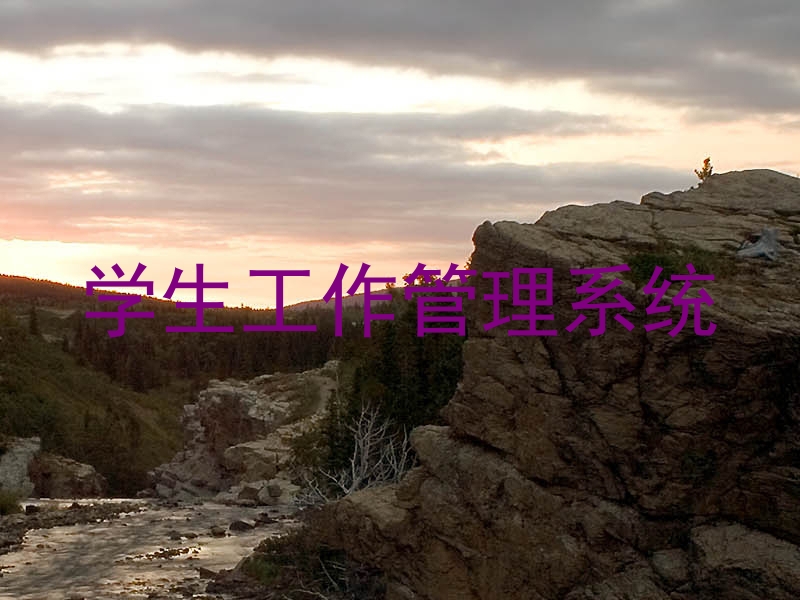学生工作管理系统