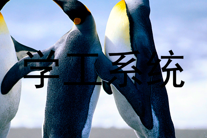 学工系统