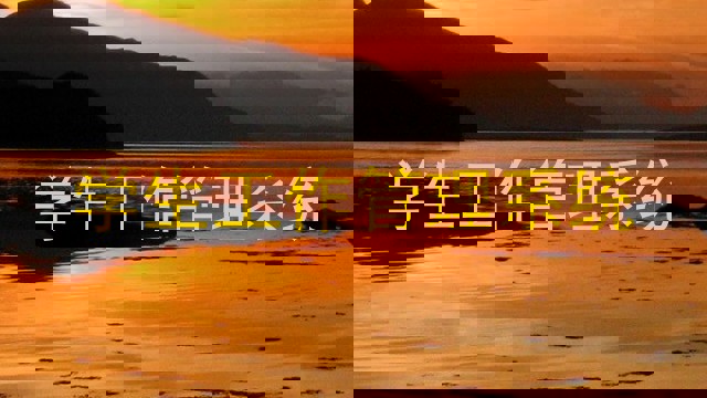 学生工作管理系统