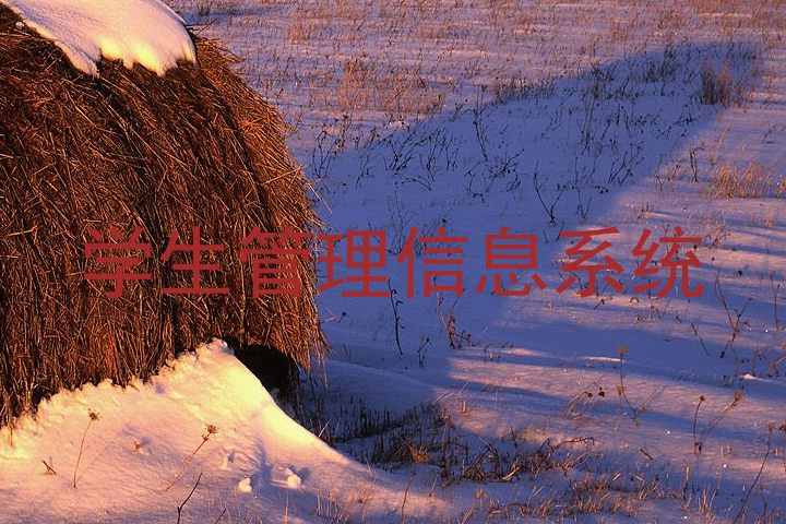 学生管理信息系统