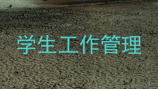 学生工作管理