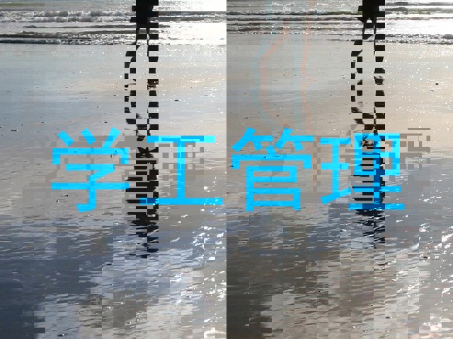 学工管理