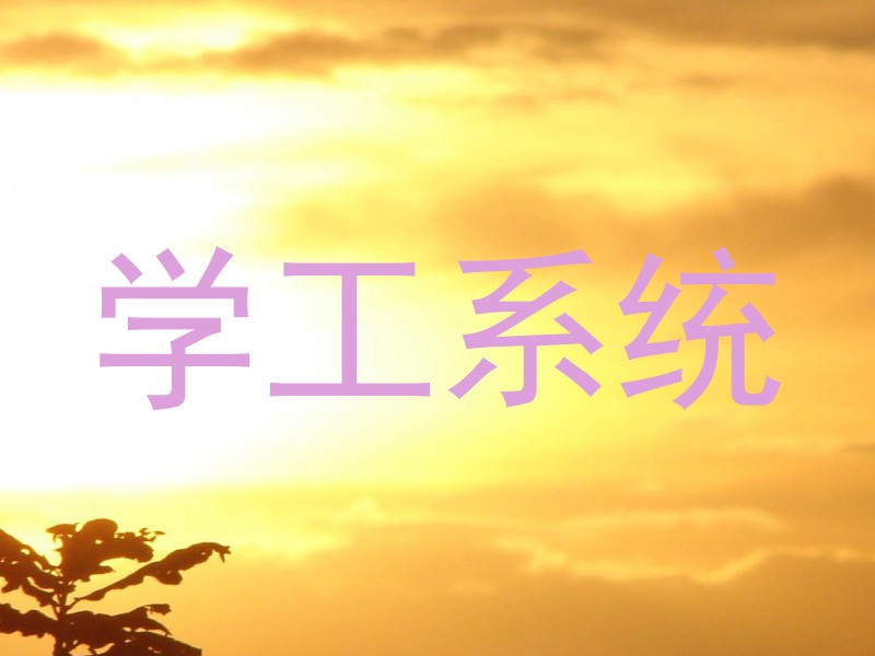学工系统