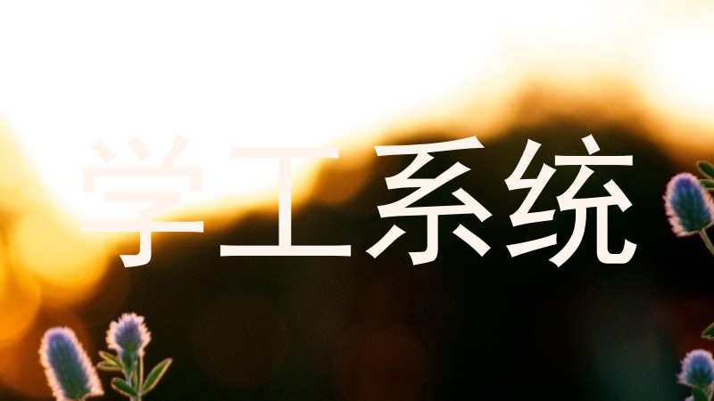 学工系统