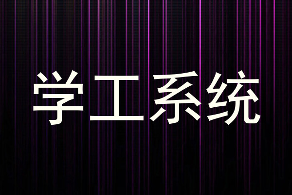 学工系统
