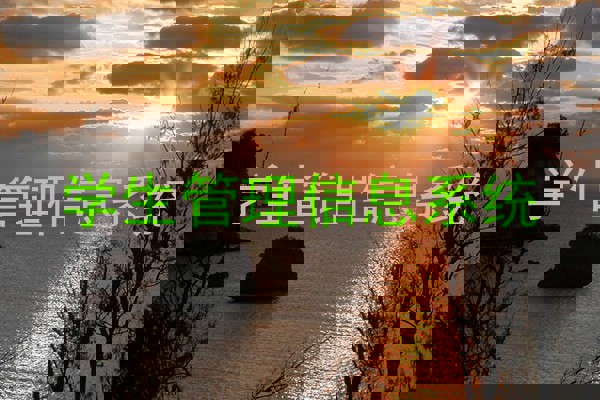 学生管理信息系统