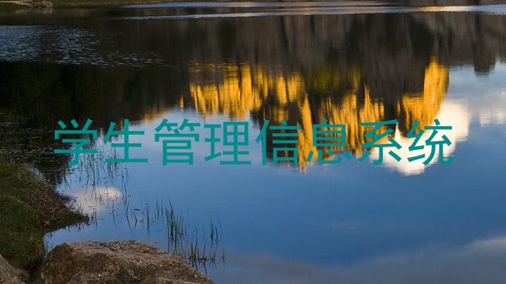 学生管理信息系统