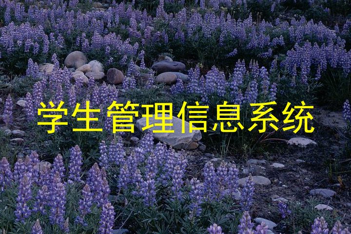 学生管理信息系统