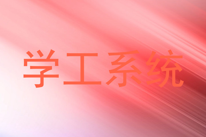 学工系统