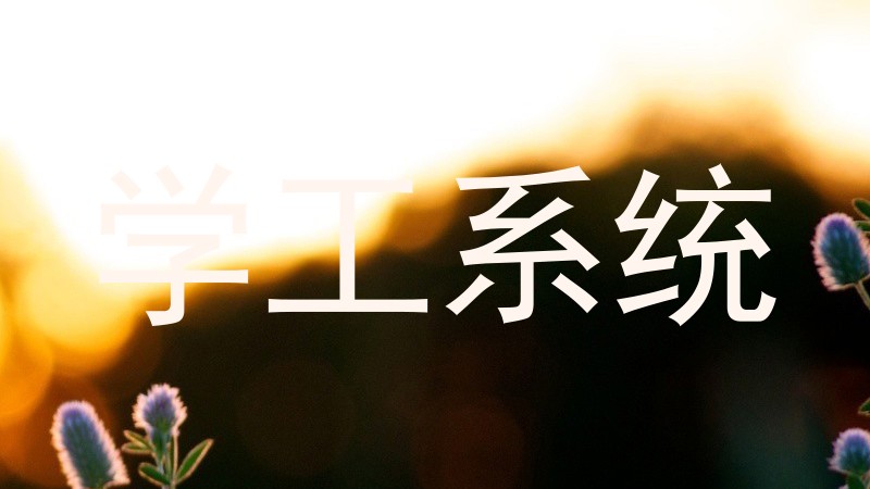 学工系统