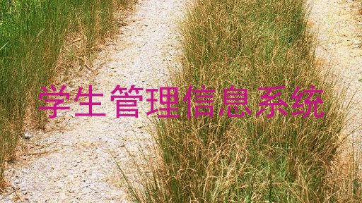 学生管理信息系统