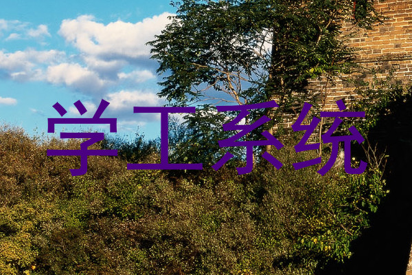 学工系统