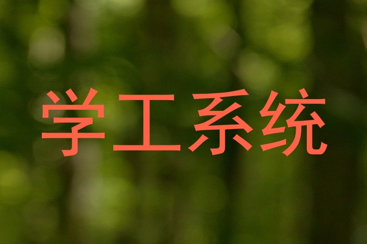 学工系统