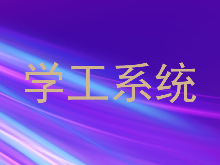 学工系统