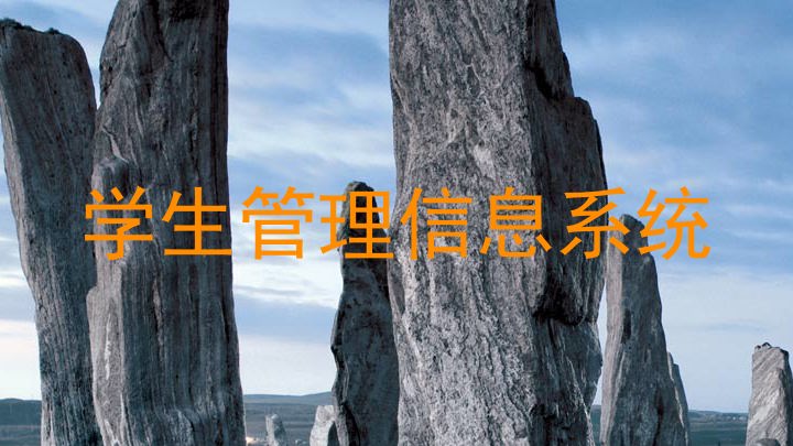 学生管理信息系统