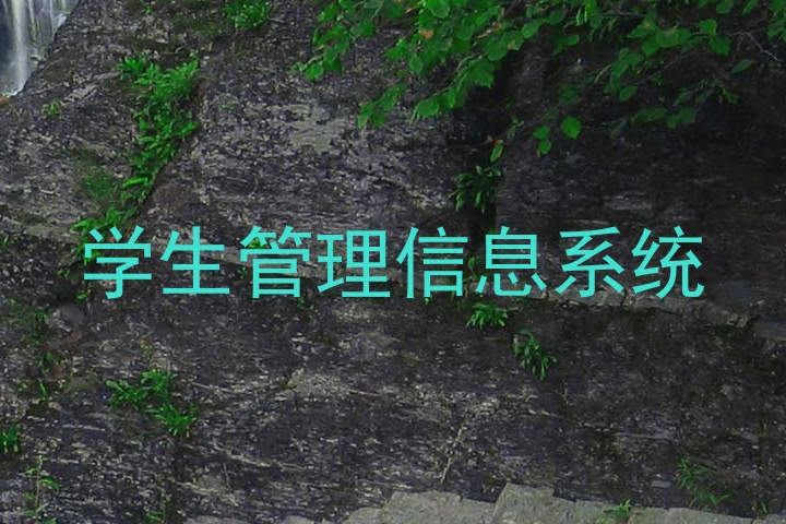 学生管理信息系统
