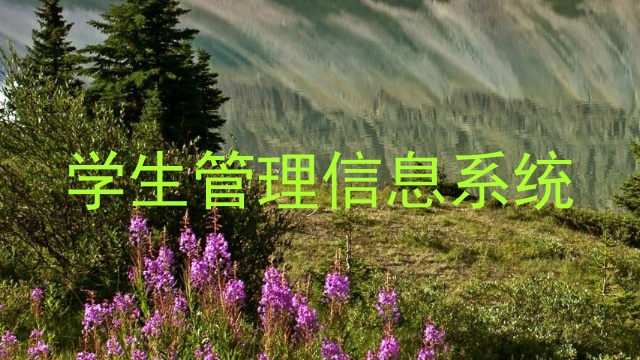 学生管理信息系统